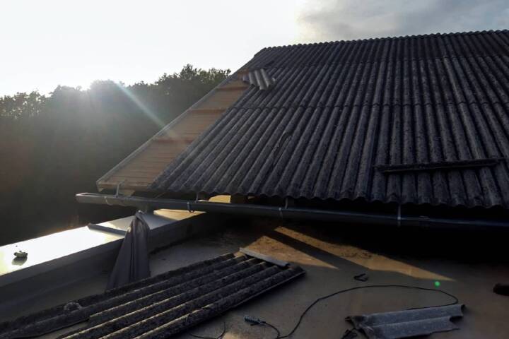 BFV Feldbach: Baumbergungen und Dachabdeckungen