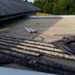 Baumbergungen und Dachabdeckungen