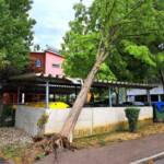 Kräftige Sturmfront sorgt für Verwüstung