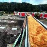 Heftiges Unwetter über Leoben