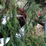 Heftiges Unwetter über Leoben