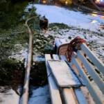 Wohnmobilbrand auf der B98