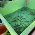 Stundenlanger Einsatz wegen Fischsterben