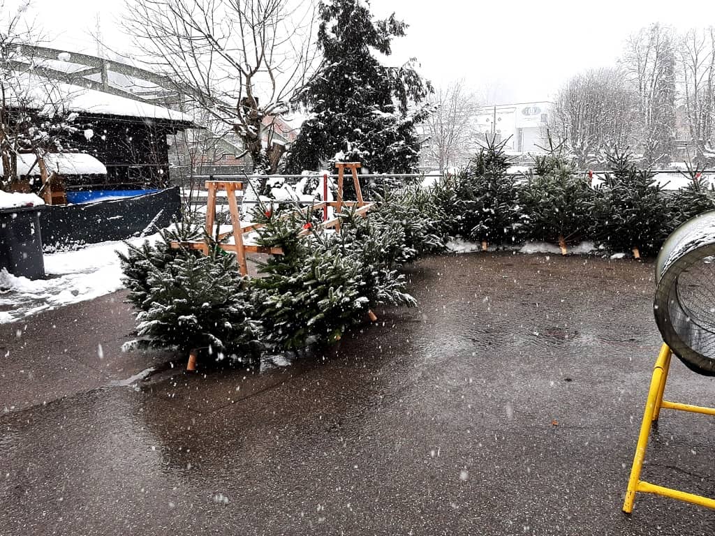 HFW Bad Ischl: Christbaumverkauf bei der HFW