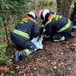 Tierrettung in Wien – Hernals