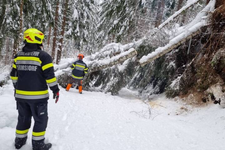 Neuschnee sorgt für Chaos