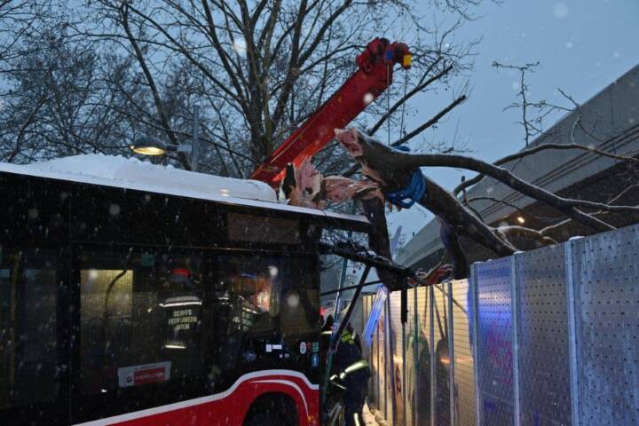 Verkehrsunfall mit Linienbus in Wien - Donaustadt