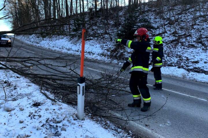 FF Krumbach: Baum über Hochneukirchenstraße