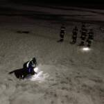 Suchübung auf der Seebergalm mit der Hundestaffel und einer Drohne