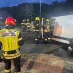 Wildunfall mit Kleintransporter auf der LB41 bei Niederschrems: Medikamentenladung gerettet