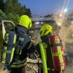 Wildunfall mit Kleintransporter auf der LB41 bei Niederschrems: Medikamentenladung gerettet