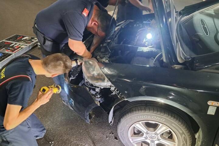 Katzenbaby Flora aus Motorraum befreit