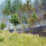 Waldbrand fordert über 100 Feuerwehrleute