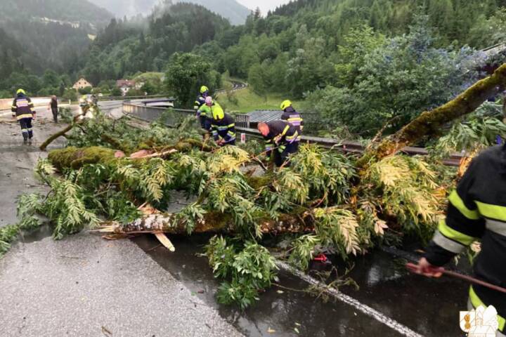 FF Donnersbach: Unwettereinsätze im Donnersbachtal