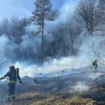 Bundesforste treffen Vorsorge gegen Waldbrände