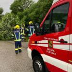 Umgestürzter Baum in Sulzbach
