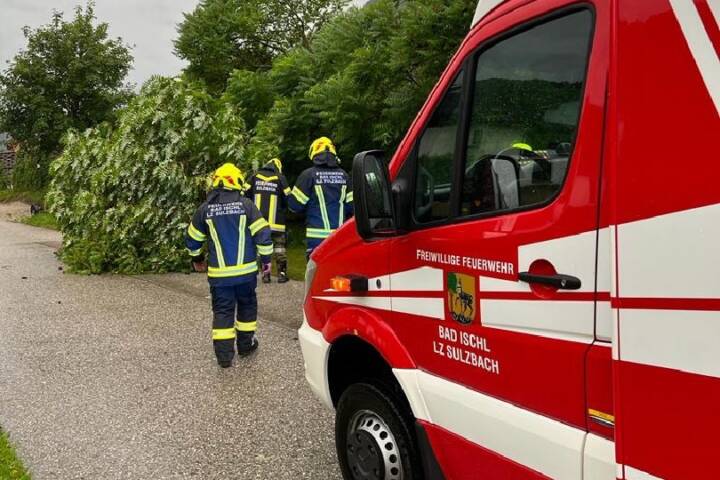HFW Bad Ischl: Umgestürzter Baum in Sulzbach