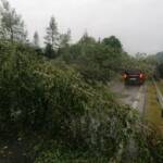 25 Feuerwehren im Unwettereinsatz