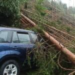25 Feuerwehren im Unwettereinsatz