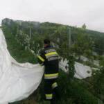 Hangrutschung im Weingarten in Aichegg