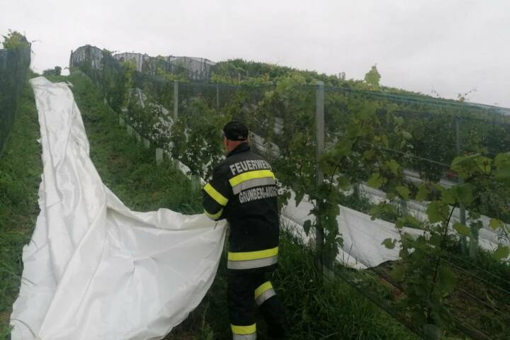 FF Grünberg-Aichegg: Hangrutschung im Weingarten in Aichegg