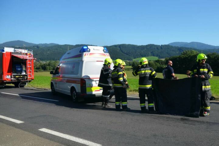 PKW gegen Moped – eine Person verletzt