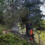 Beginnender Waldbrand auf Lausnitzer Wiesen