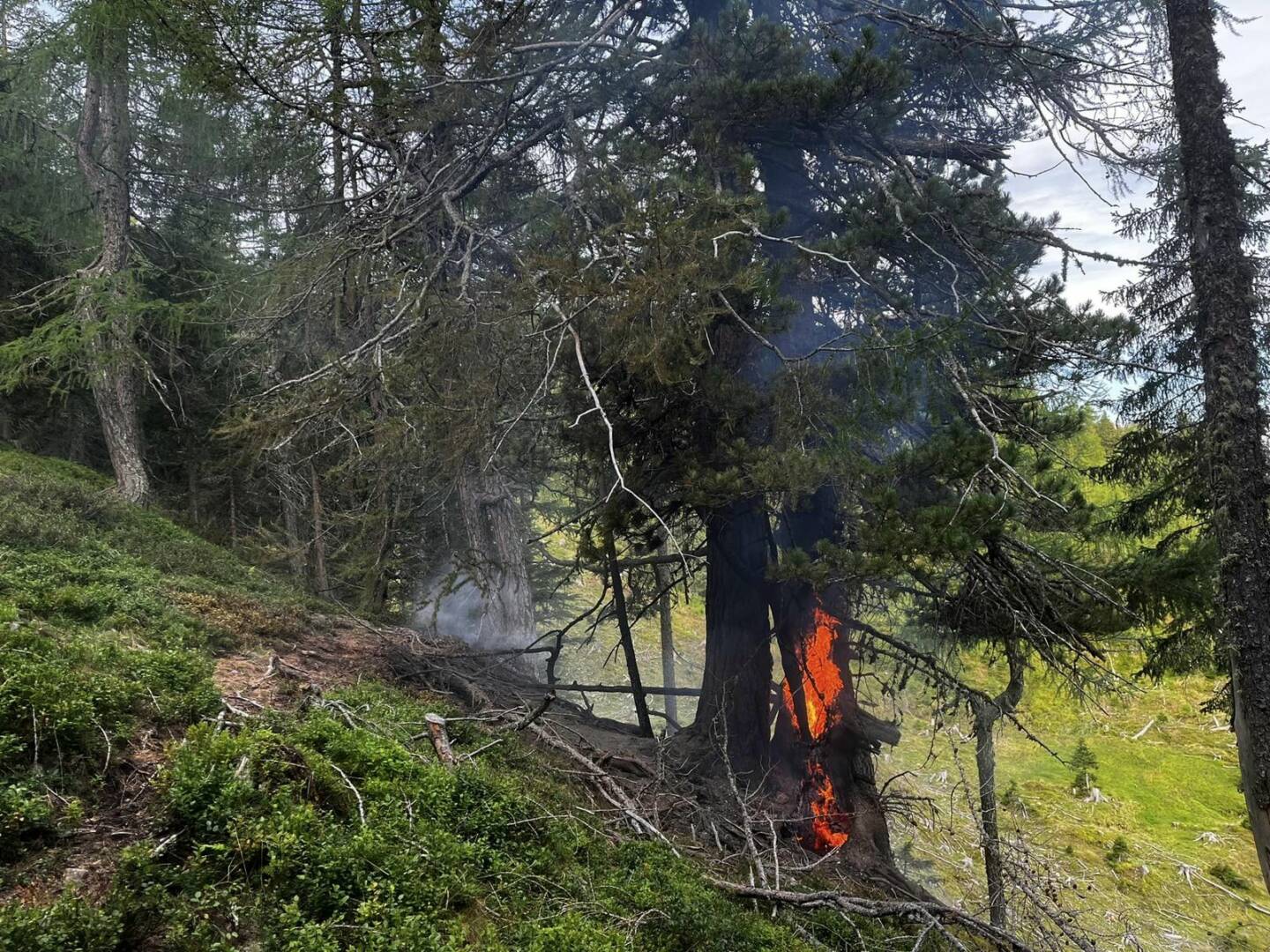 Beginnender Waldbrand auf Lausnitzer Wiesen