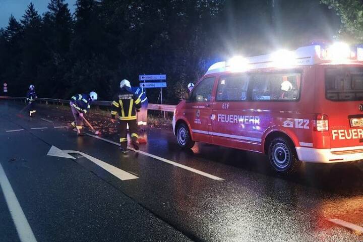 HFW Bad Ischl: Baum über Straße und Türöffnung