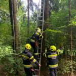 Katze von Baum am Höllberg gerettet