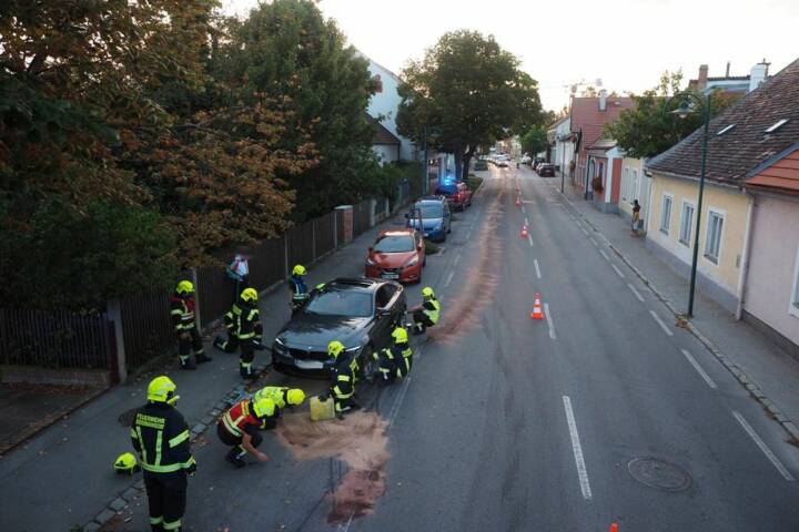 FF Biedermannsdorf: 100 Meter Ölspur durch defekten PKW