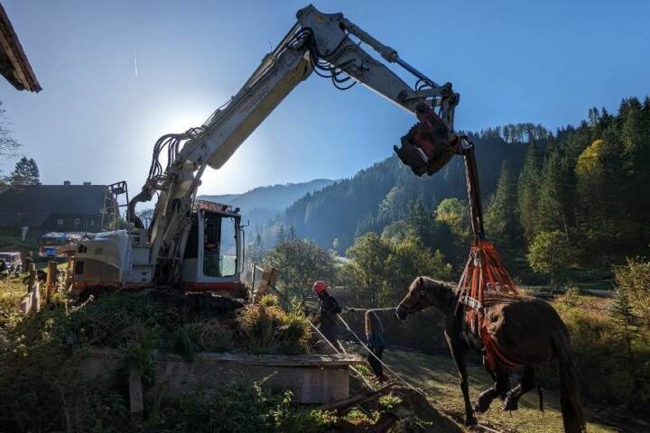 BFV Leoben: Pferderettung aus Jauchengrube