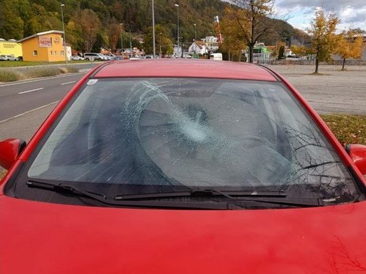 FF Kapfenberg-Diemlach: PKW gegen Schwan