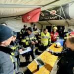 Erfolgreiche Personensuche nach Halloweenparty und Kuhherde eingefangen