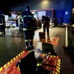 Erfolgreiche Personensuche nach Halloweenparty und Kuhherde eingefangen