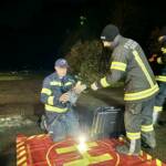 Erfolgreiche Personensuche nach Halloweenparty und Kuhherde eingefangen