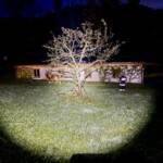 Erfolgreiche Personensuche nach Halloweenparty und Kuhherde eingefangen