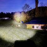 Erfolgreiche Personensuche nach Halloweenparty und Kuhherde eingefangen