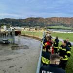 Erfolgreiche Personensuche nach Halloweenparty und Kuhherde eingefangen