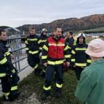 Erfolgreiche Personensuche nach Halloweenparty und Kuhherde eingefangen