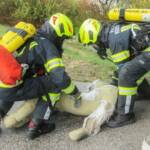 Atemschutz-Prüfung erfolgreich absolviert