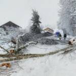 Feuerwehren vs. Schneechaos im Bezirk