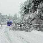 Feuerwehren vs. Schneechaos im Bezirk