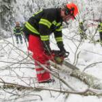Baum versperrte Straße