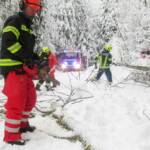 Baum versperrte Straße