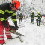 Baum versperrte Straße