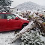 Verkehrsunfall in der Lärchenwaldstraße