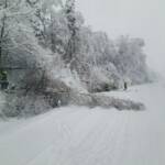 Schnee - Rund 300 Einsatzkräfte im Dauereinsatz