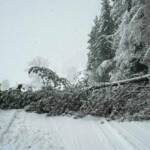 Schnee - Rund 300 Einsatzkräfte im Dauereinsatz