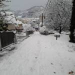 Schneefall sorgt für Feuerwehreinsätze